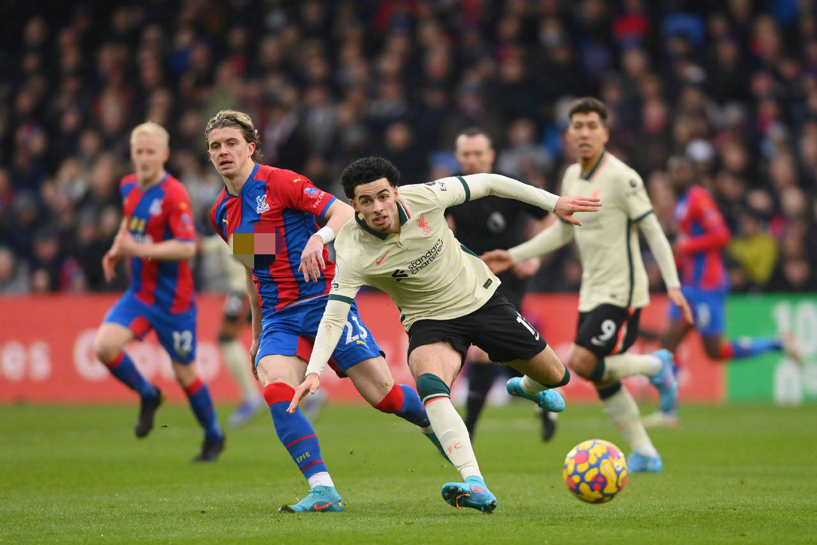 重要竞争者 重要竞争者